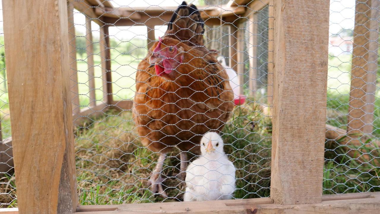 Ferienwohnung Bei Mina & Ida Фрайамт Экстерьер фото
